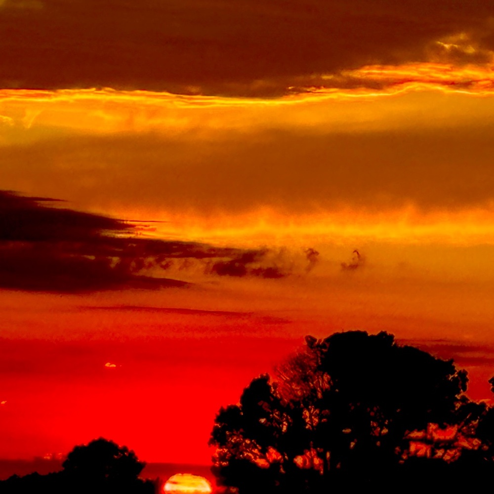 Meet your Posher, Gloria